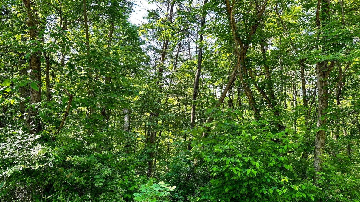 0 Fisher Ridge Rd Tract 6  
