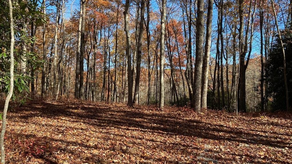 Lot 45 Roaming Rd  