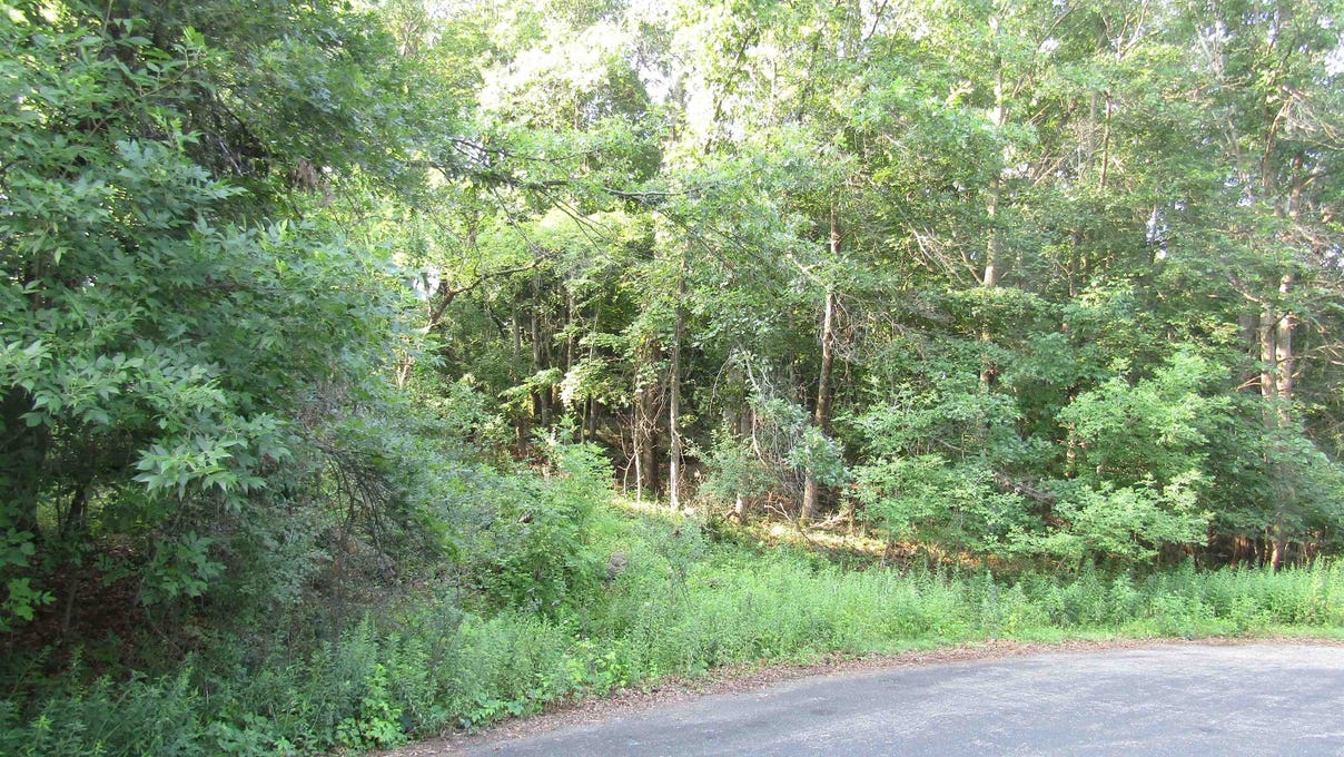 Lot 116 Acres Diamond  