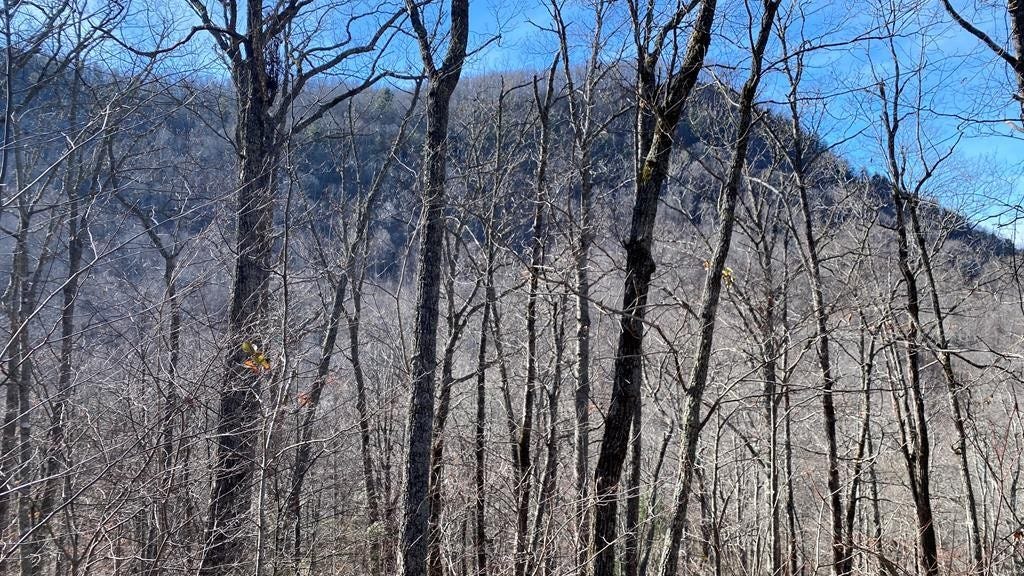 Lot 73 Pilot Knob Rd  