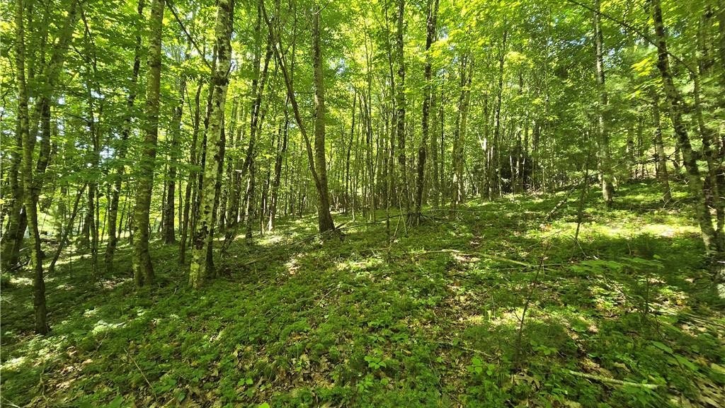 Lot 67 Deer Spring Ln/White Tail Trl  