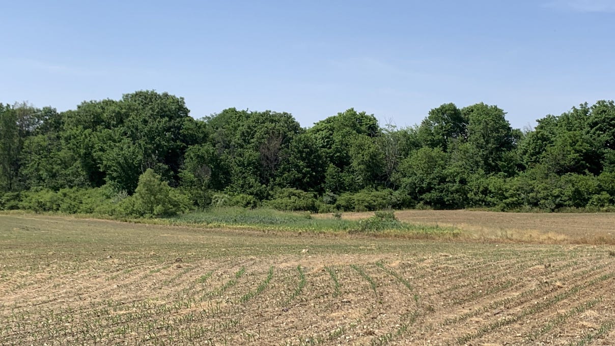 10006 W 1000 S, Losantville, IN 47354 Land for Sale