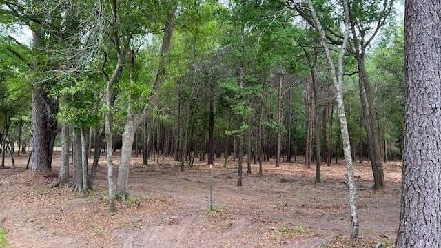 00 Kinsey Road 18- Acres  