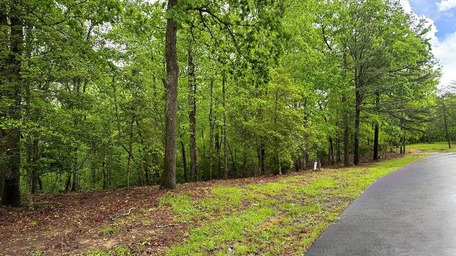 Lot 6 Brasstown Trails  