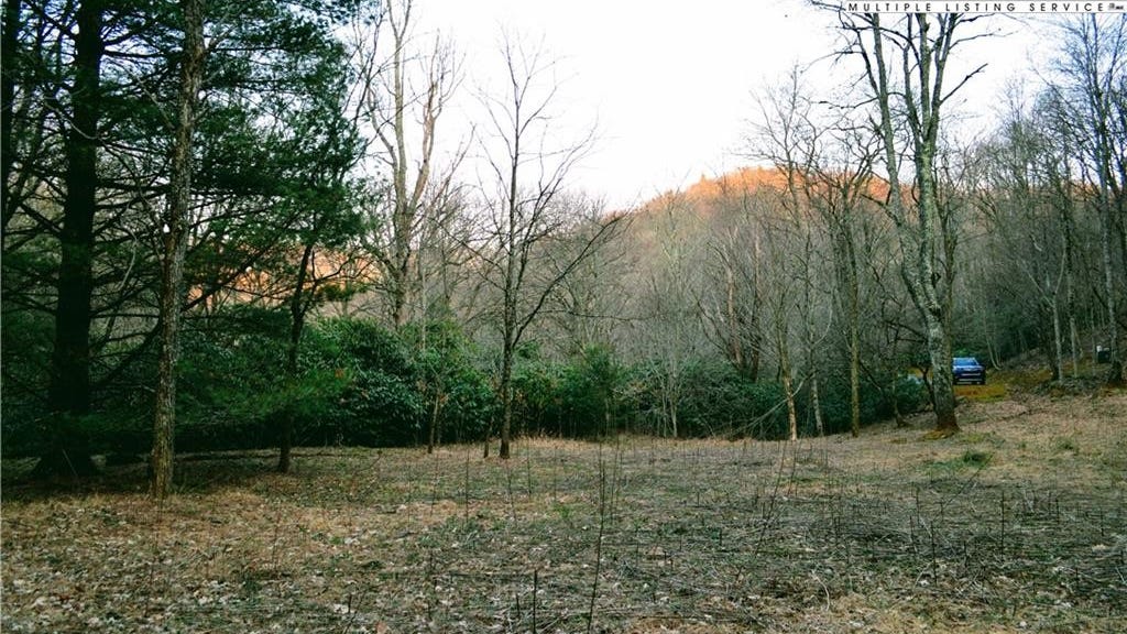 Lot 101 Beaver Ldg Trl