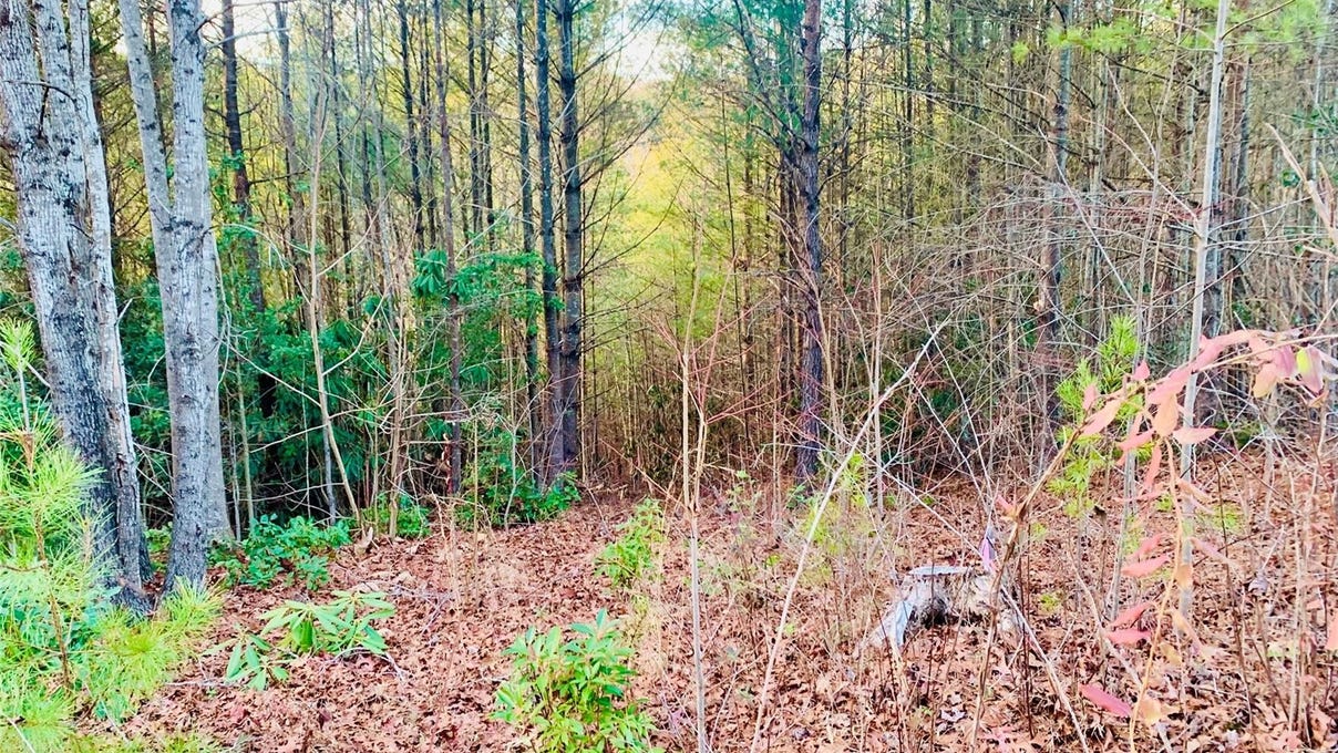 1 93 Acres Lot Cb-6 Blowing Pnes Ct  