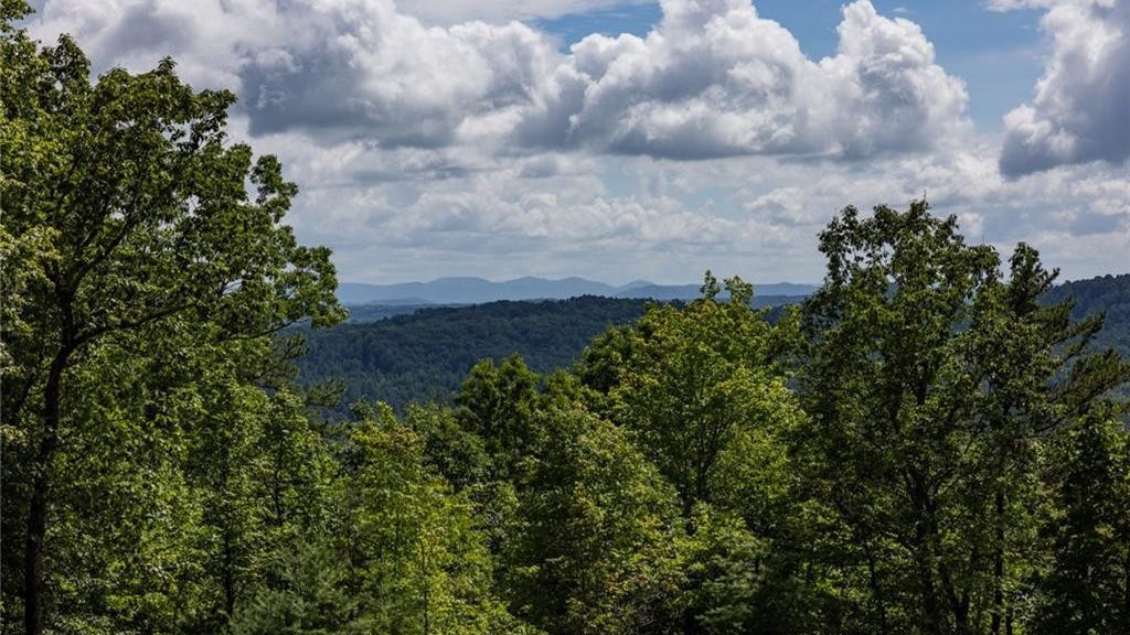 Lot 158 Chestnut Mountain Farms Pkwy  