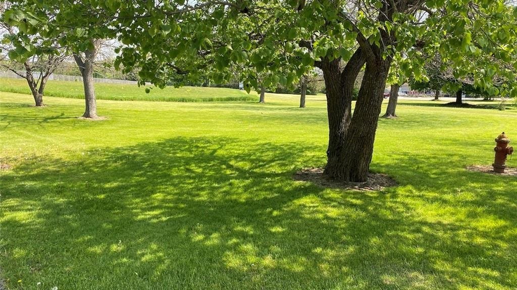 00 Mcninch Lane, Belmont, NY 14813 Land for Sale