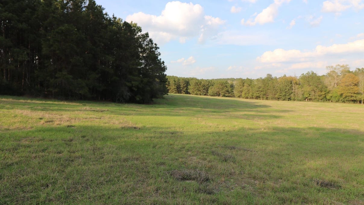 TBD Co. Rd. 425, Kirbyville, TX 75956 Land for Sale