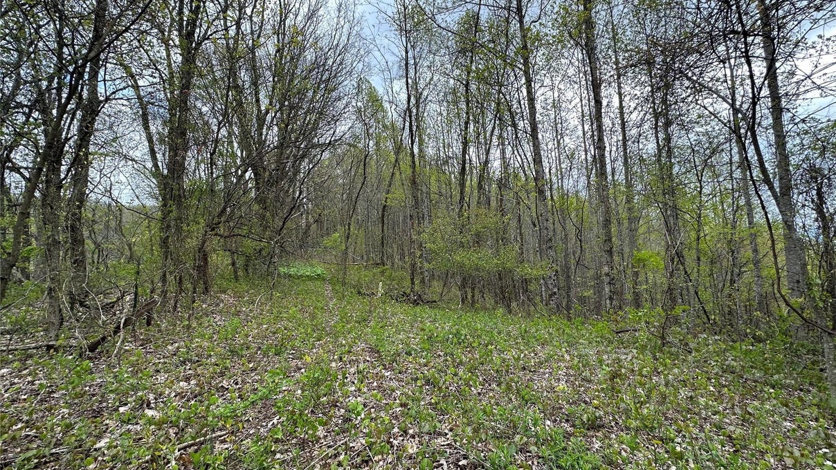 000 Touch The Stars Way  