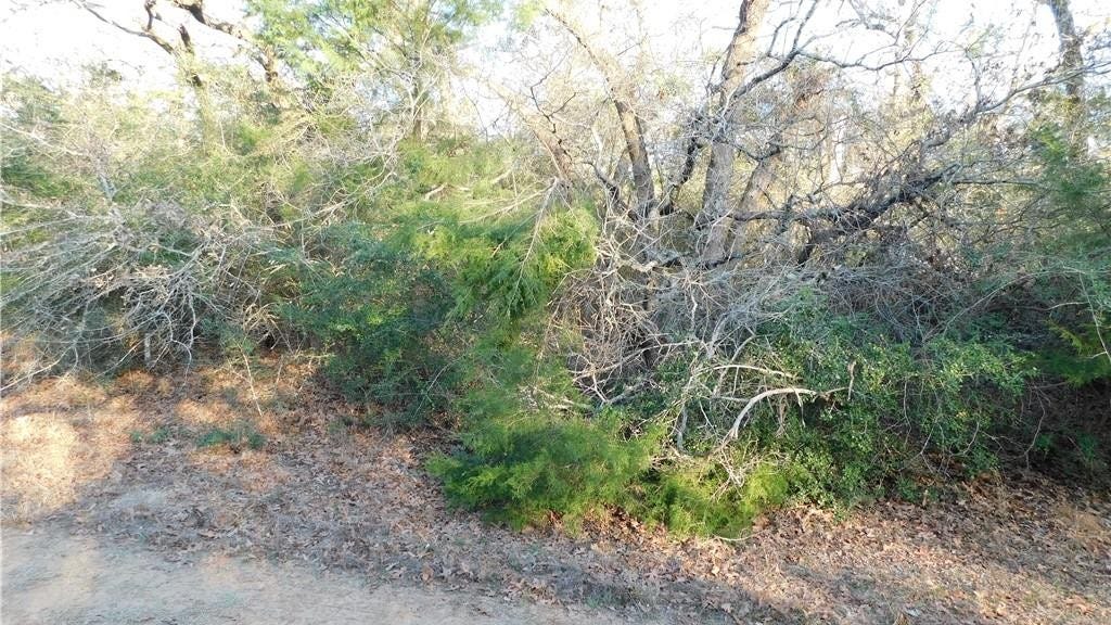 Tbd Blossom Lane, Hilltop Lakes, TX 77871 Land for Sale