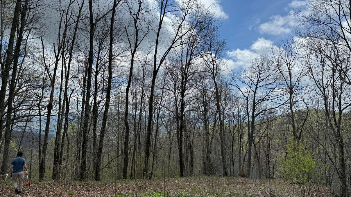 99999 Hickory Frst Rd  