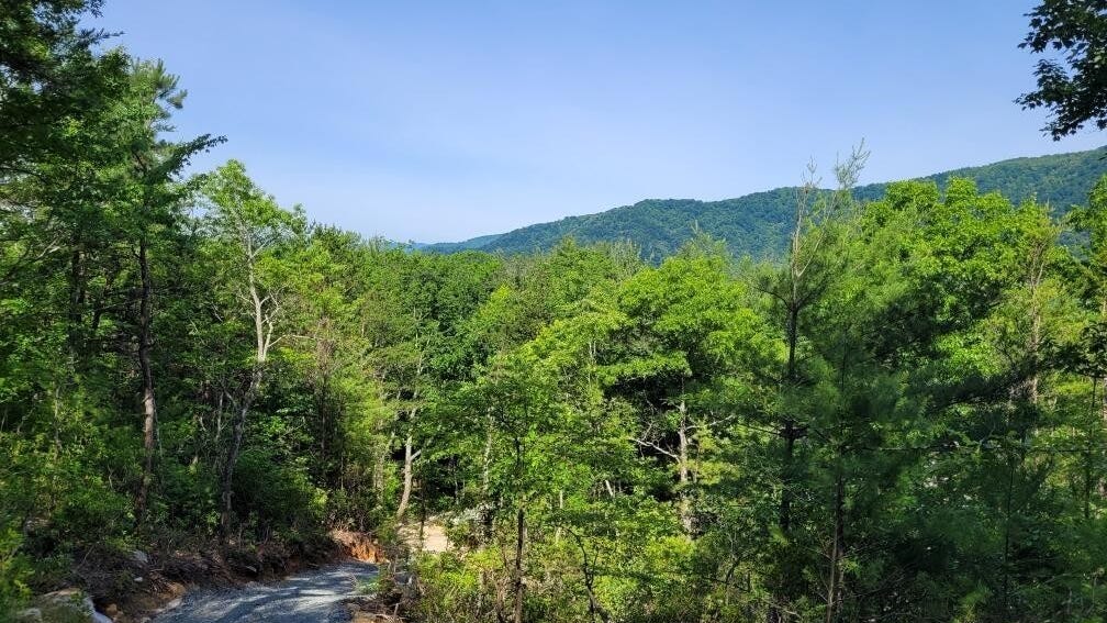 Lot 12/13b Quail Dr  