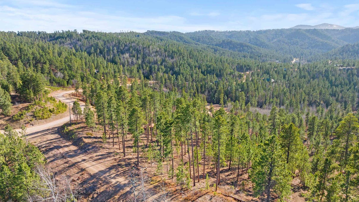 Lot 103 Paradise Gulch Loop  