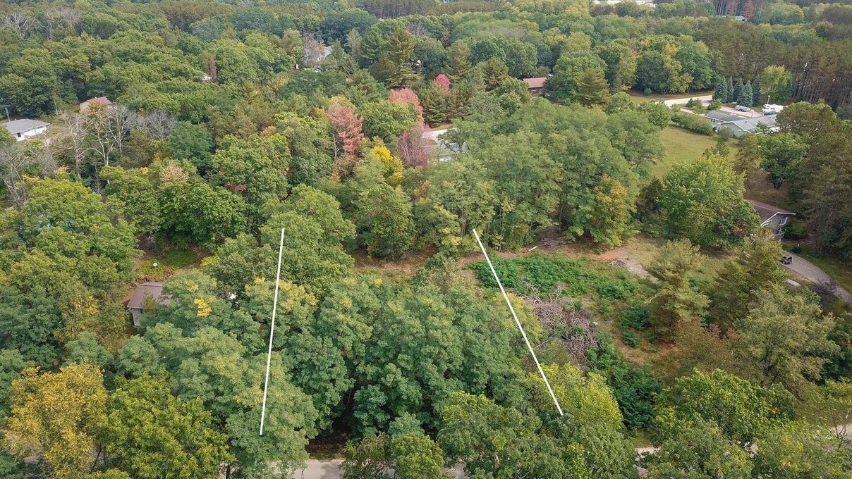 Lot 9 Yellow Thunder  