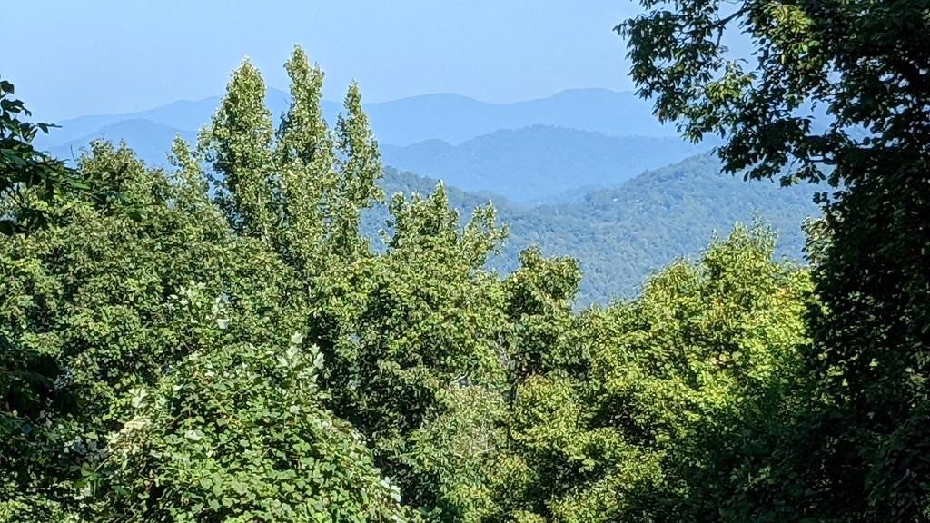 Tr 28 Bearpaw Rdg  