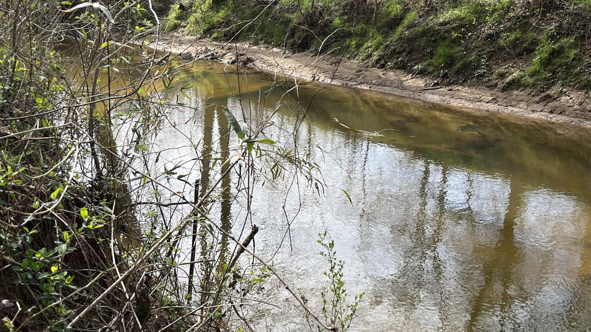 1480 County Road 814, Higdon, AL 35979 Land for Sale