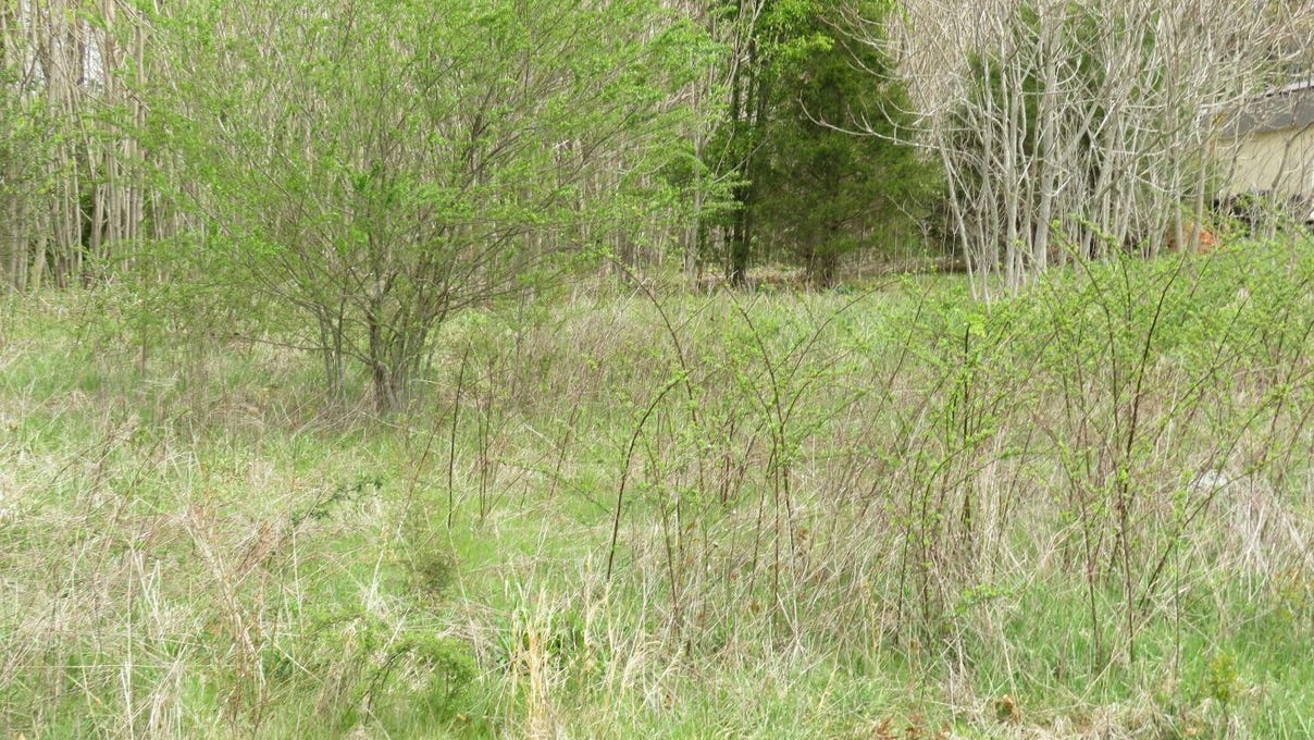 0 Lot 17 Soybean Dr  