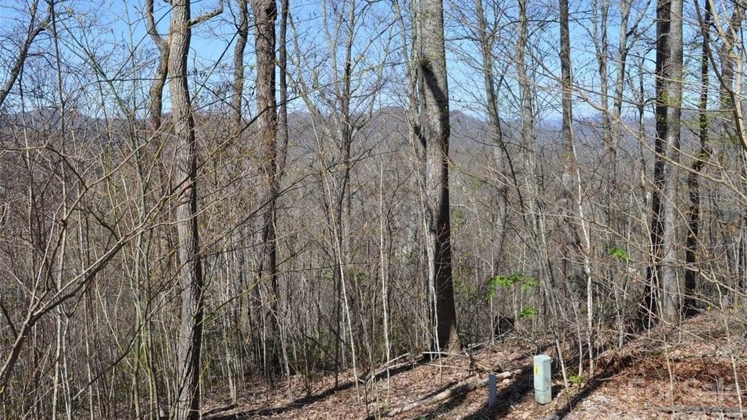 Lot 139 Rocky Knob Rd  