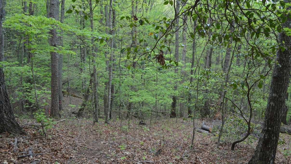 LOT 11 North Rdg Trl  