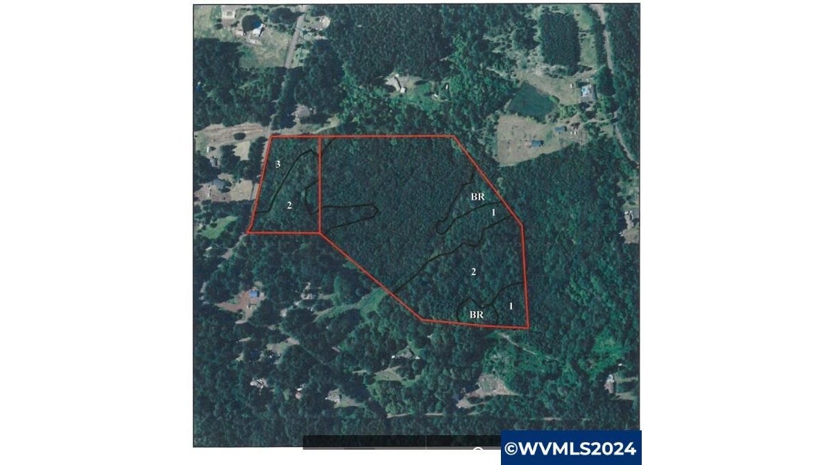 Next To 43458 Rogers Mtn Lp