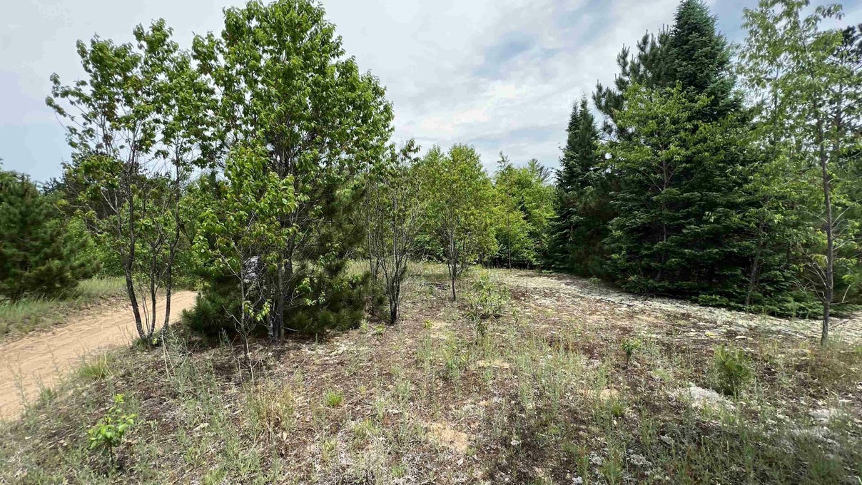 5 Acres Little Ln
