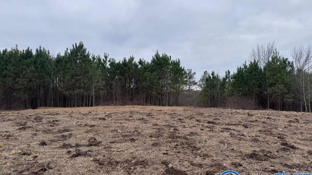 35 Acres County Rd 1101  