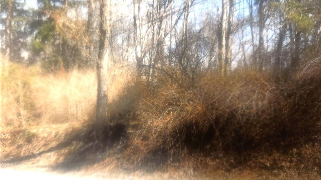 645 Pittsburgh-Rochester Rd