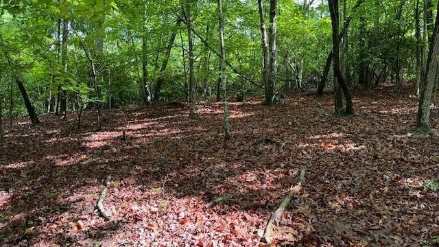 0 Hunting Country Rd  