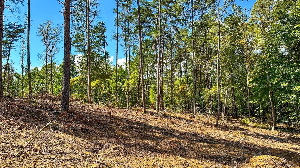 0 Fisher Ridge Rd Tract 1  