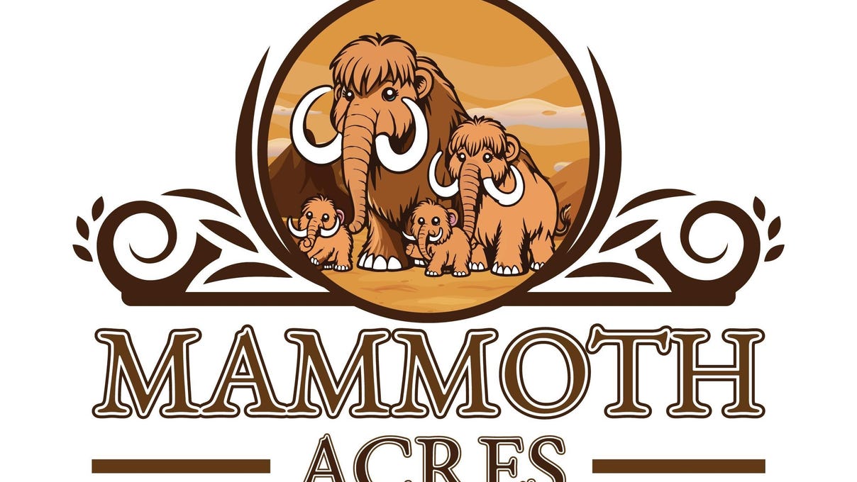 Lot 4 Tbd Mammoth Dr  