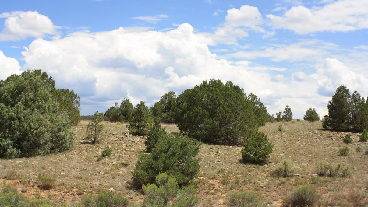 398399 Pine Meadows Unit 4, Ramah, NM 87321 Land for Sale realestate