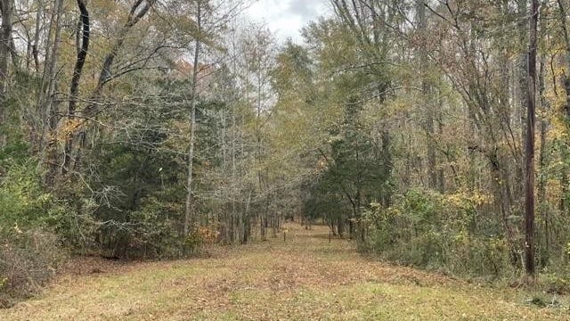 12962 Timber Crk Dr  