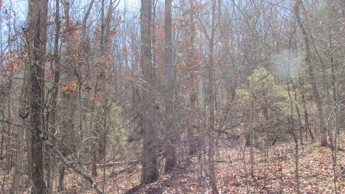 000 County Rd 513  