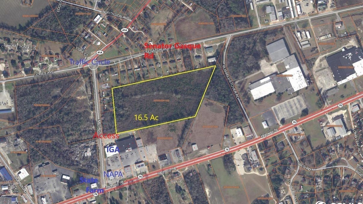 Senator Gasque Rd., Marion, SC 29571 Land for Sale