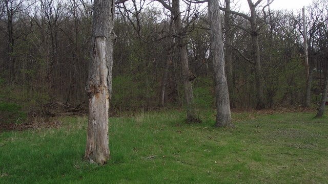 Lot 012 Tuscola Ave  