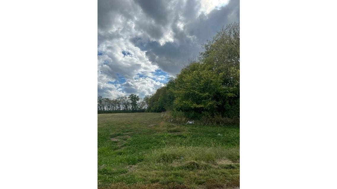 813 Eve Orchid Dr