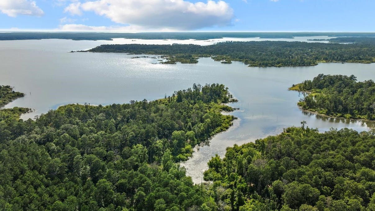 00 County Divide Rd., Pineland, TX 75968 Land for Sale