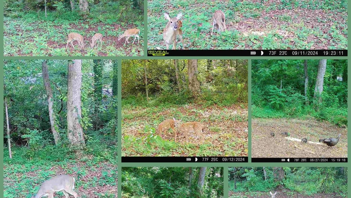 1116 1104 Kensington Cir  