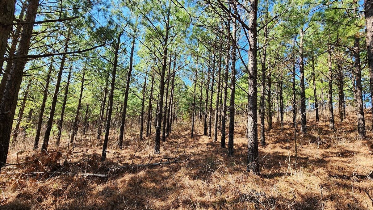 Tract 84 No Physical Address