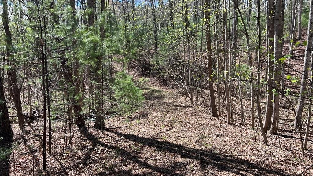 Tbd/251 Wandering Walk Rd  