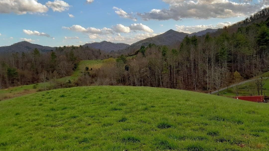 523 Lower Paw Paw Rd  