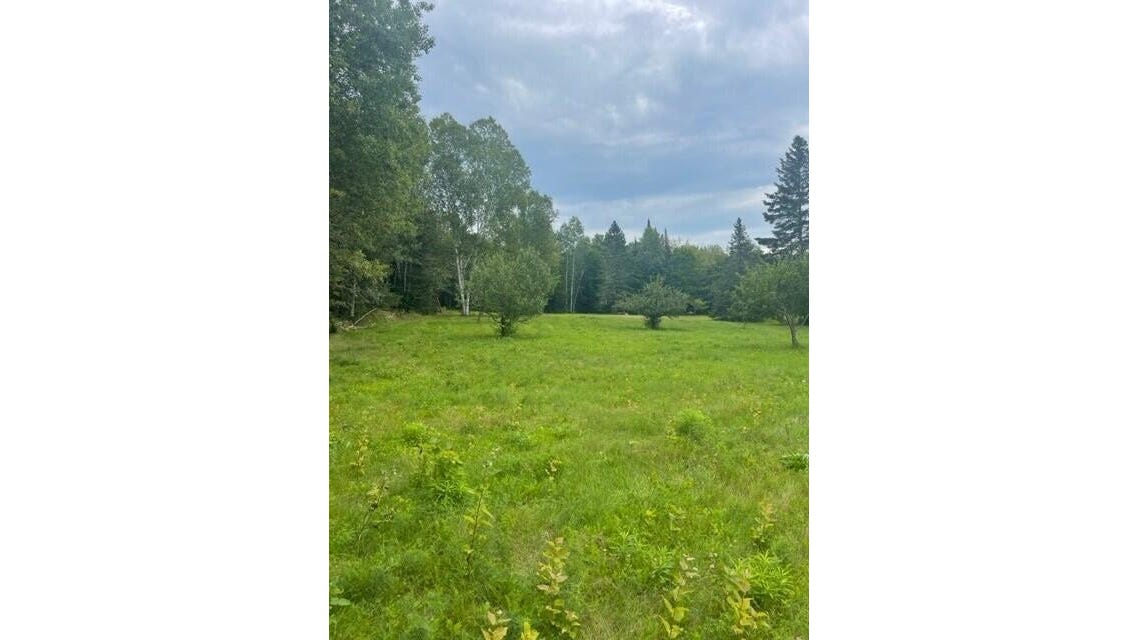 Main Street, Saint Francis, ME 04774 Land for Sale