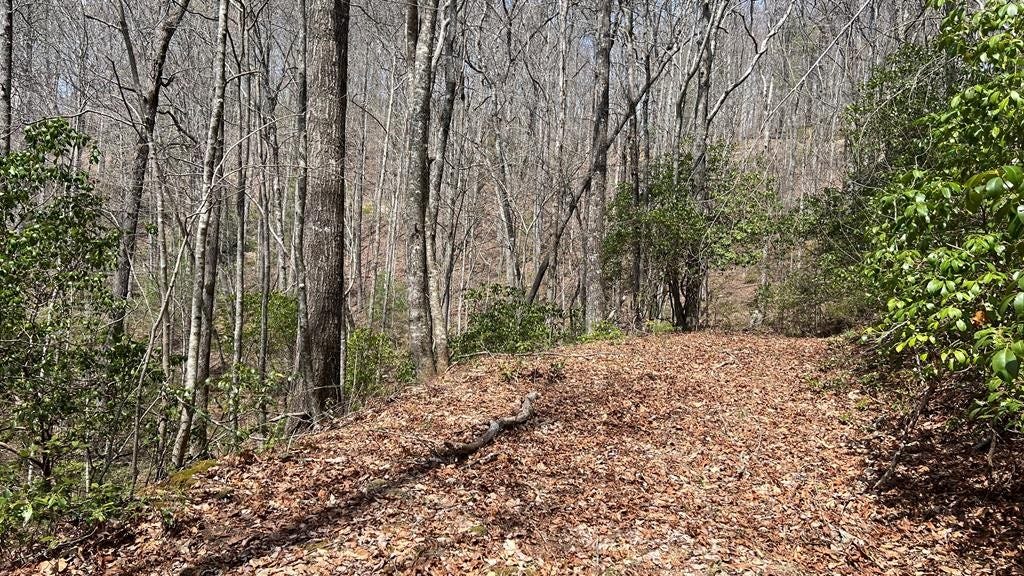 00 Whispering Spgs Ln