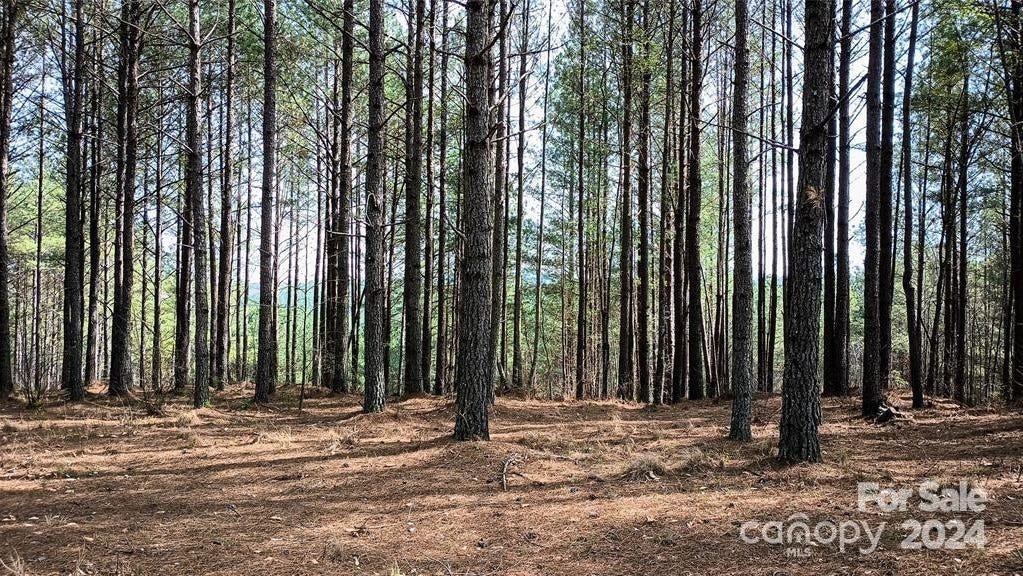 114 Table Rock Trce NW