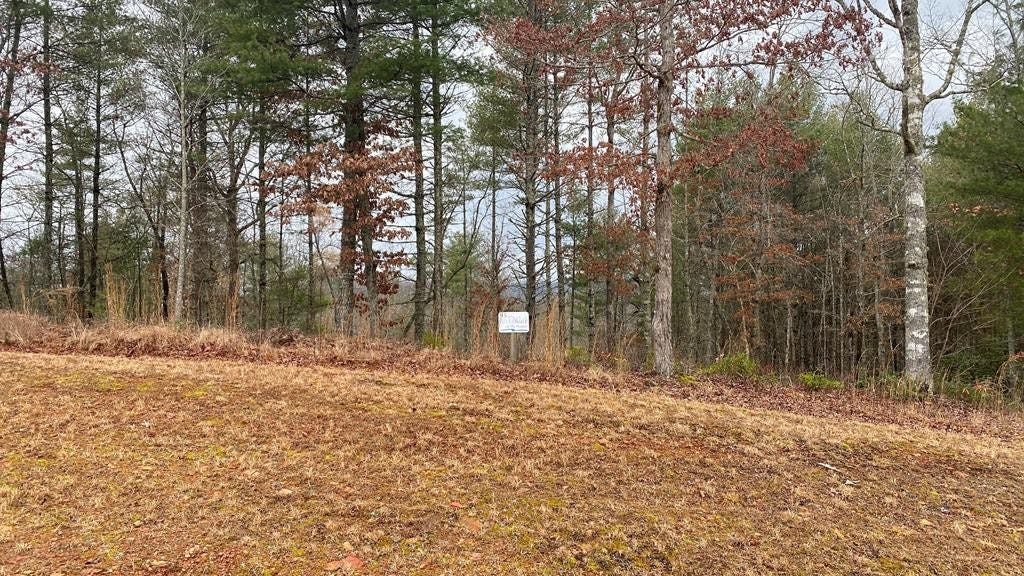 Lot 95 River Mtn Rd  