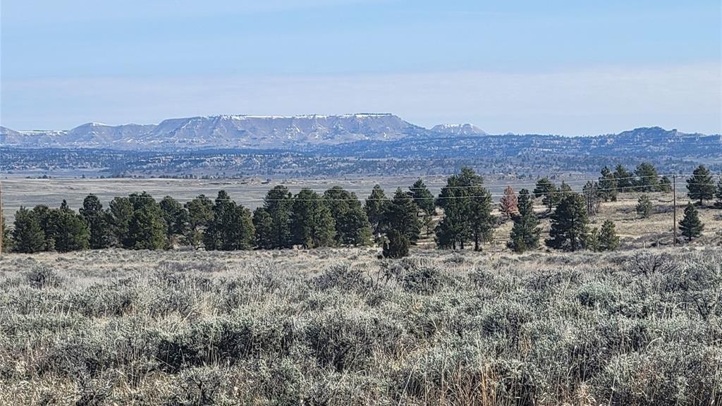 Cr21 Jana Lane, Billings, MT 59079 Land for Sale