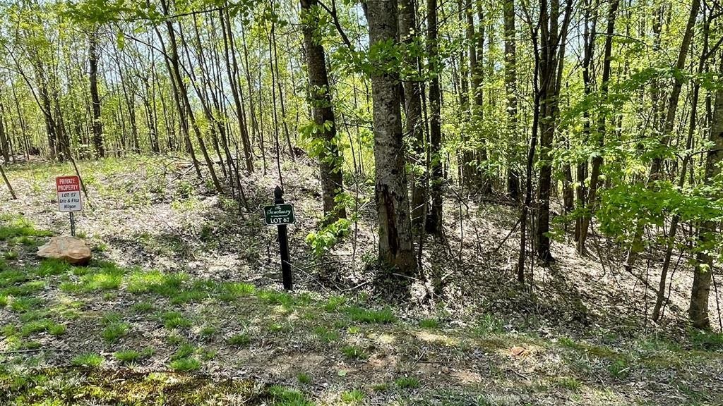 Lot 67 The Sanctuary at Vance Mtn  