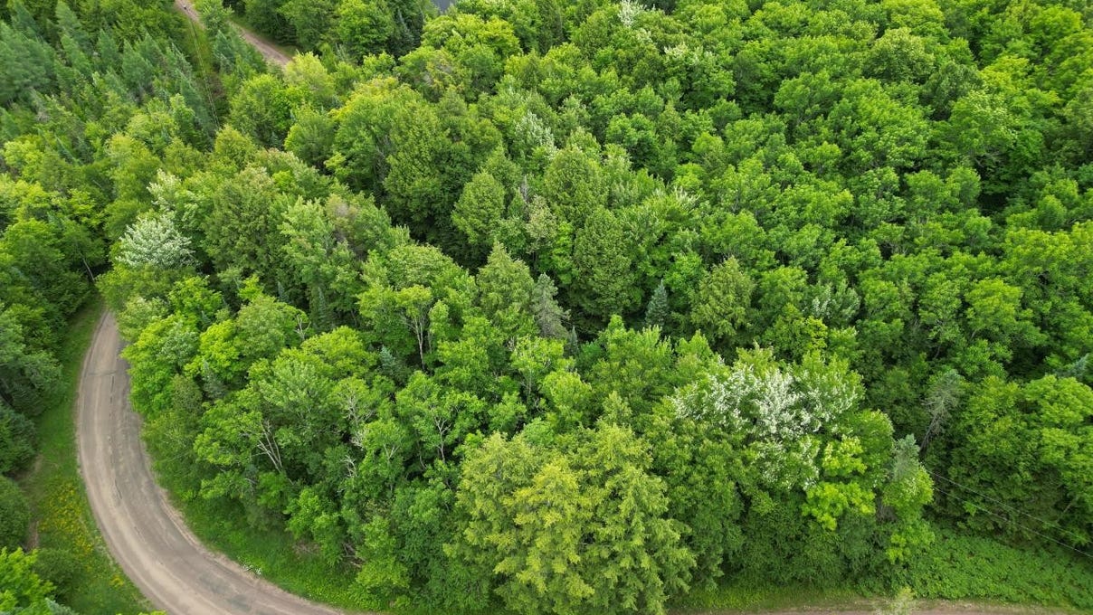 Lot 4 STATELINE Lk RD