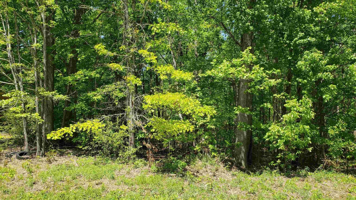Oak Terrace Drive, Apt Lot 13, Laurens, SC 29360 Land for Sale